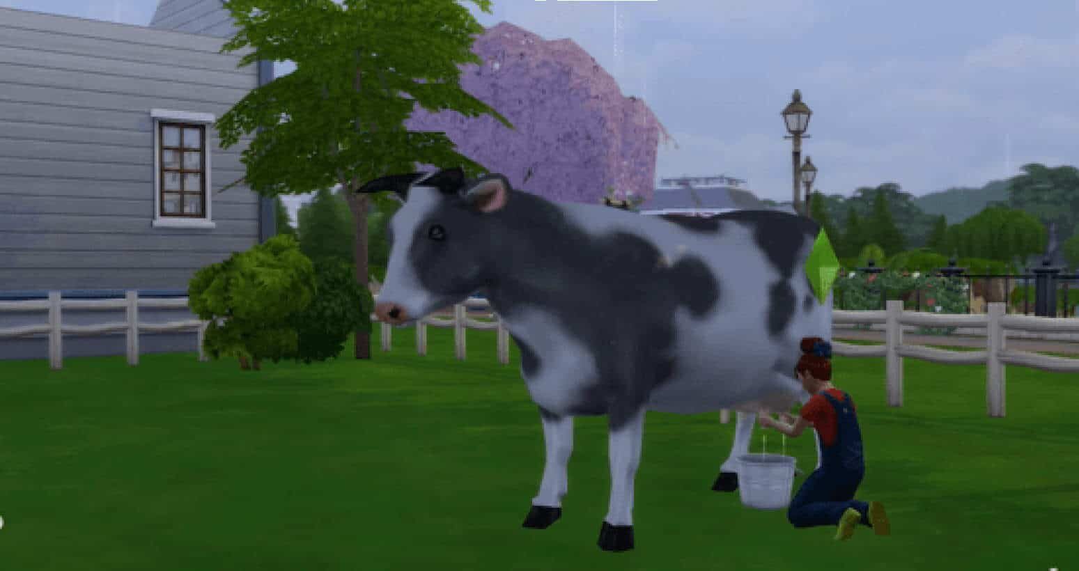 sims 4 cow mod cc milkable